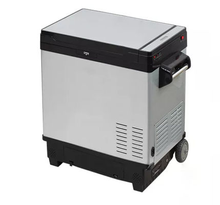 Наружный морозильник с колесами DC 12V/24V AC 100V-240V портативный компрессорный холодильник
